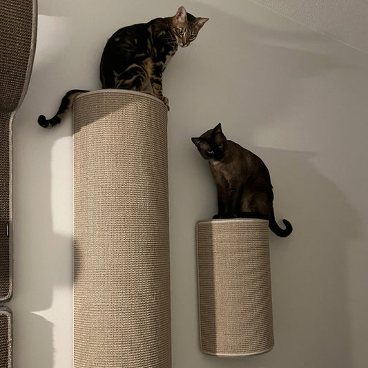 Kissan kiipeilypylväs Jumbo - Ananimalab.com