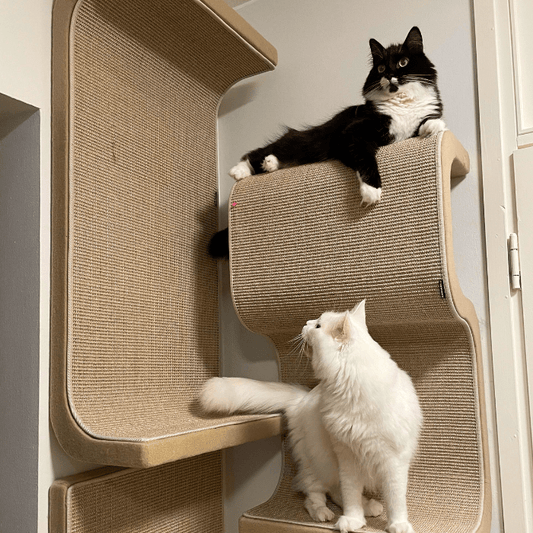 Kissan kiipeilyseinä S - Triple + DS - 100 - Ananimalab.com