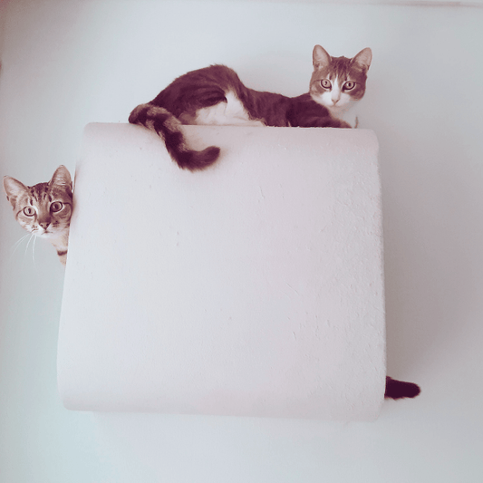 Kissan lepoelementti Tube - Ananimalab.com