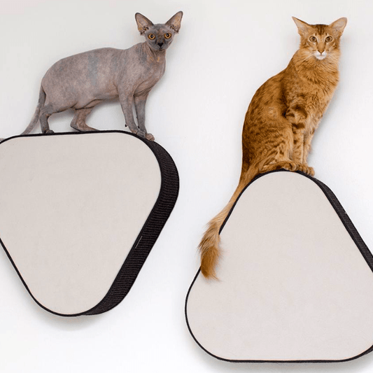 Kissan kiipeilyseinä TabooTri - Ananimalab.com