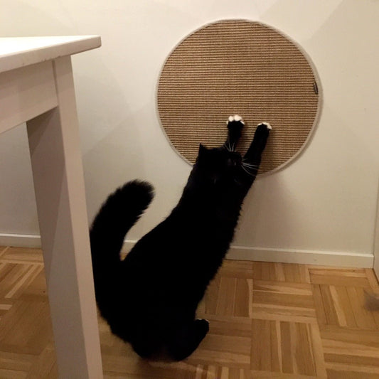 Kissan Lätty - raapimismatot - vakiokoot - Ananimalab.com