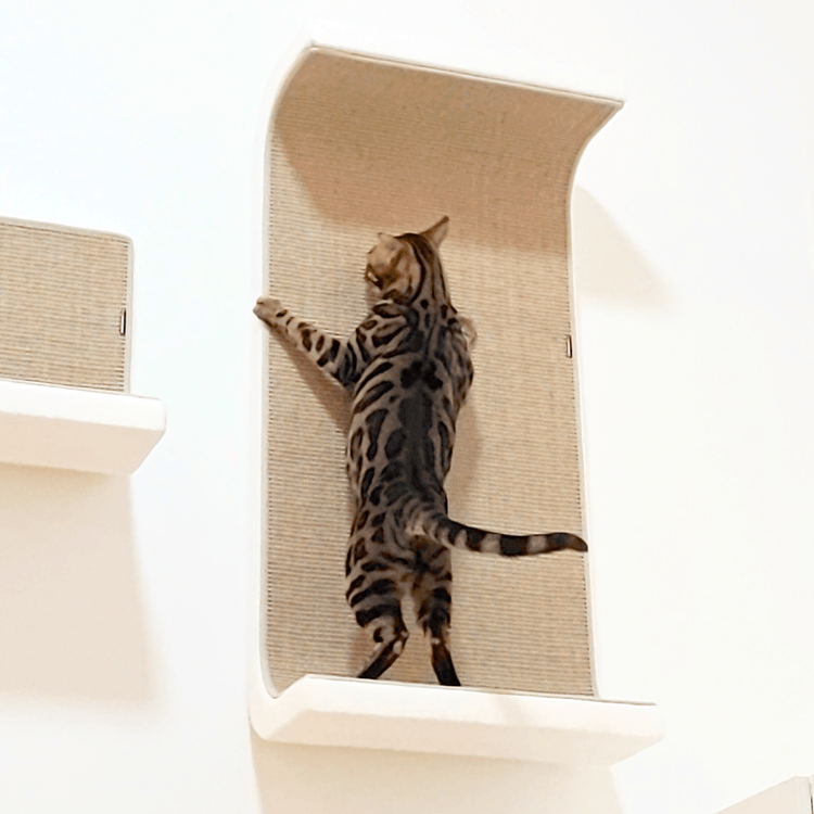 Kissan kiipeilyseinä Stepit + Tube - Ananimalab.com