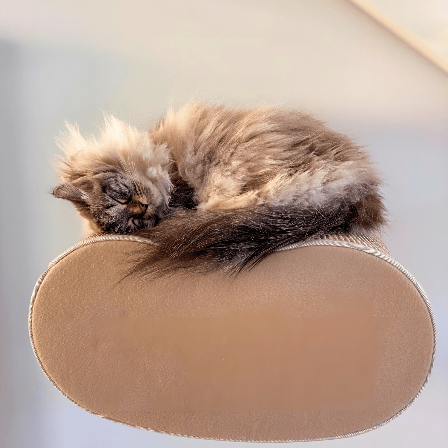 Kissan kiipeilyseinä, Taboo -muotokappaleet - Ananimalab.com