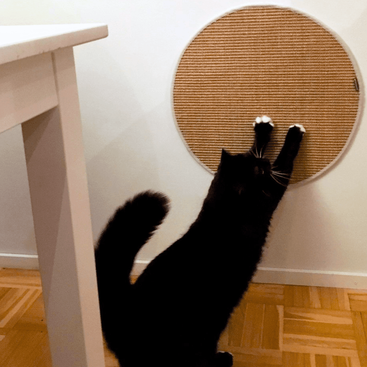 Kissan Lätty-raapimismatot - Ananimalab.com