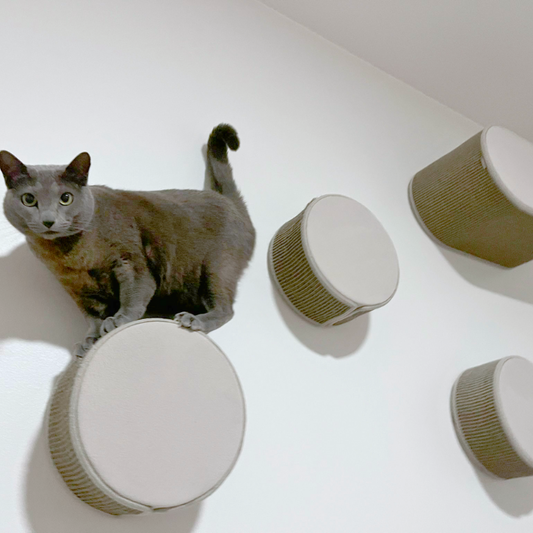 TabooRound Katzen Kletterwand – zusammengestelltes Set