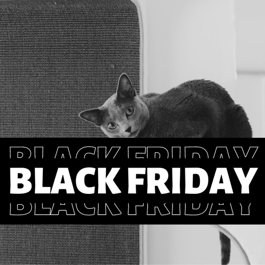 BF25 DS - 100 - Ananimalab.com