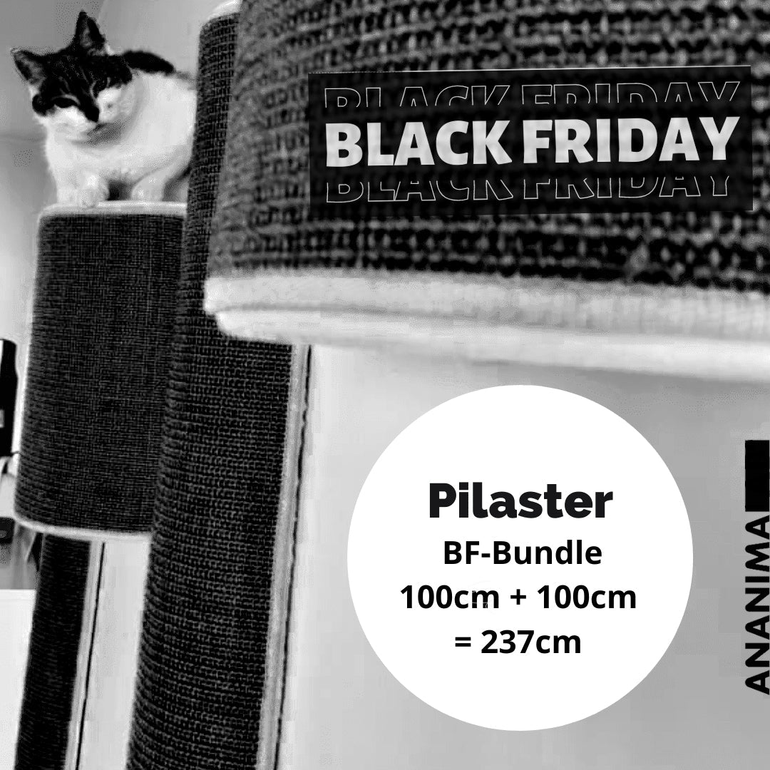 BF25 Kissan kiipeilypylväs Pilaster 100+100+37cm - Ananimalab.com