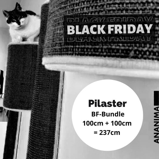 BF25 Kissan kiipeilypylväs Pilaster 100+100+37cm - Ananimalab.com