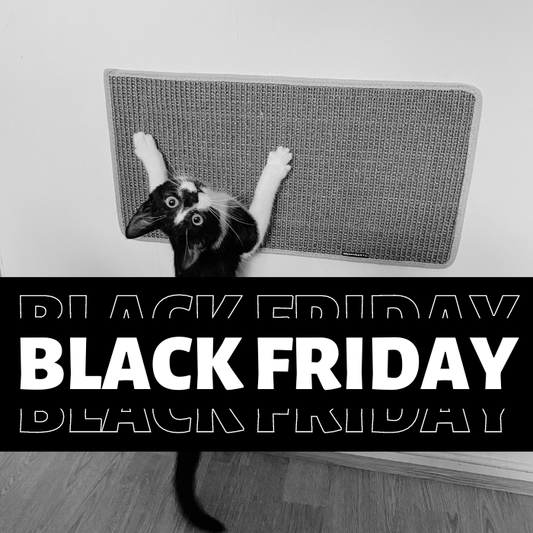 BF25 Kissan Lätty - raapimismatot - vakiokoot - Ananimalab.com