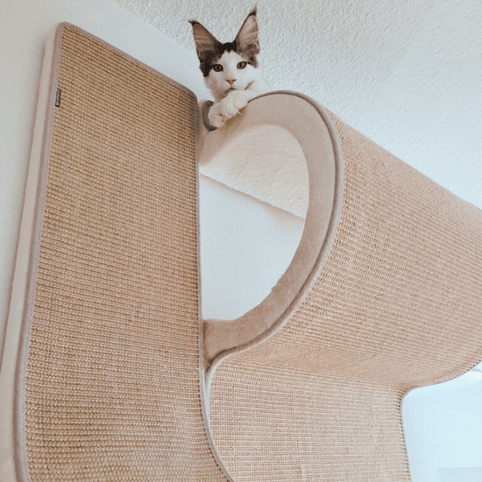 BF25 Pesä ja porrasalusta yhdistelmänä - Ananimalab.com