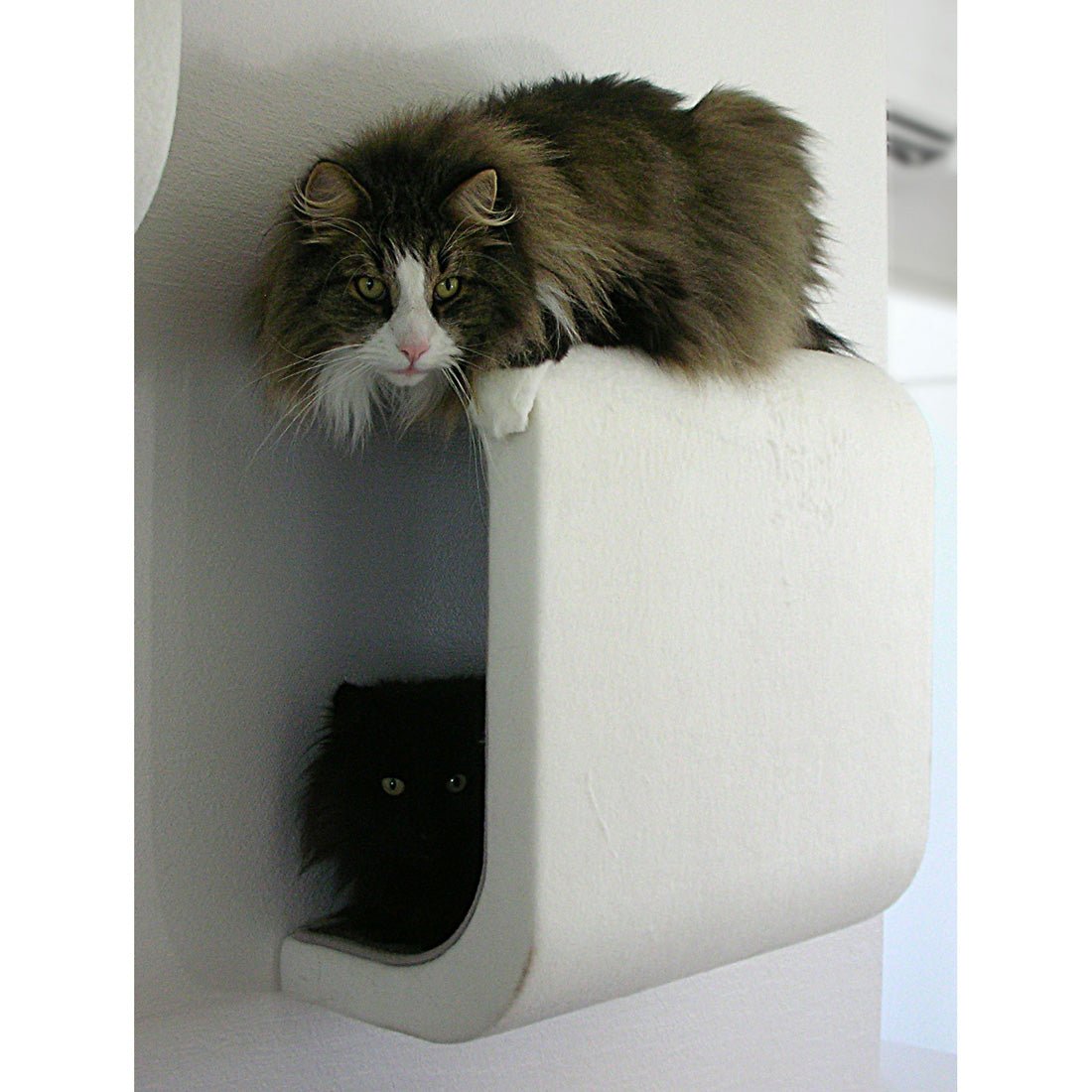 BF25 Tube - Ananimalab.com