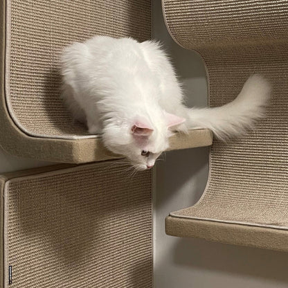 Kissan astinelementti - 06_Step - Ananimalab.com