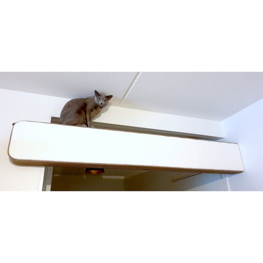 Kissan Balk - siltakappale - Ananimalab.com