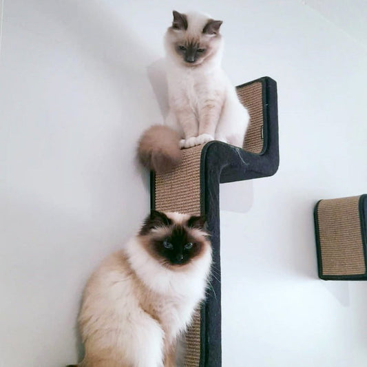 Kissan kiipeilyportaat ZikZakSerie - 17All - sarja - Ananimalab.com