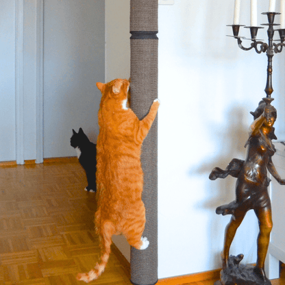 Kissan kiipeilypylväs Pole ulkonurkkaan, yhdistelmät - Ananimalab.com