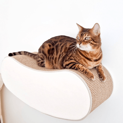 Kissan kiipeilyseinä Mood - Ananimalab.com