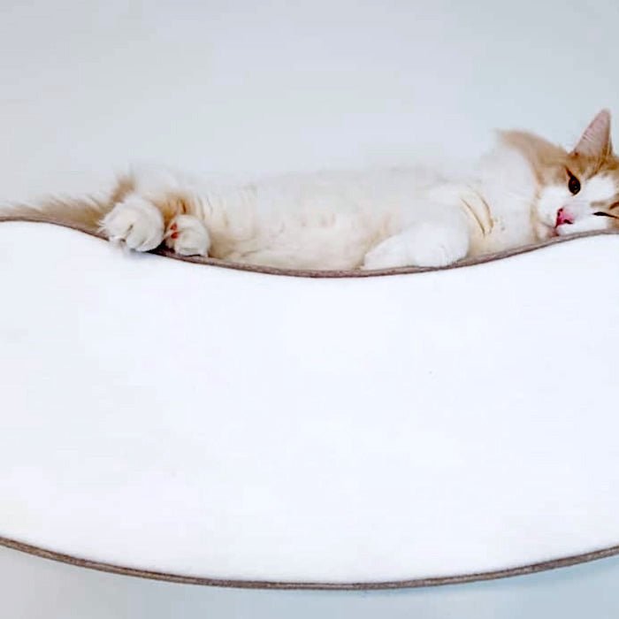 Kissan kiipeilyseinä Mood - Ananimalab.com