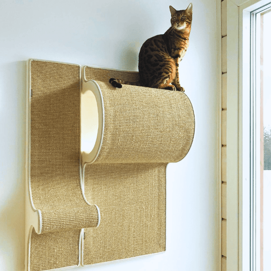 Kissan kiipeilyseinä: Pesä ja porraskappale - yhdistelmä - Ananimalab.com