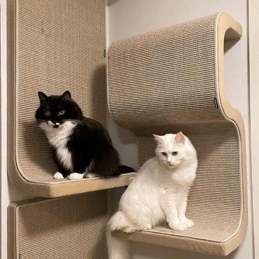 Kissan kiipeilyseinä S - Triple - Ananimalab.com