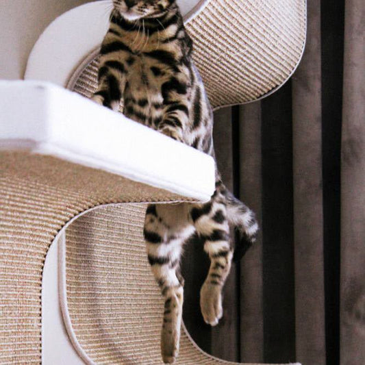 Kissan kiipeilyseinä S - Triple + DS - 100 - Ananimalab.com