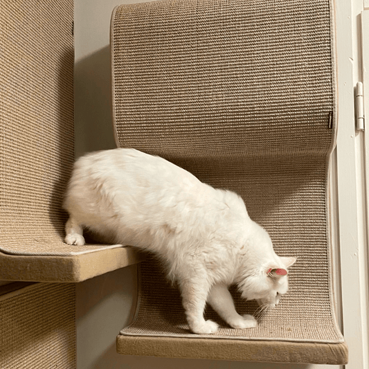 Kissan kiipeilyseinä S - Triple x 2 - Ananimalab.com