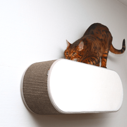 Kissan kiipeilyseinä TabooOval - Ananimalab.com