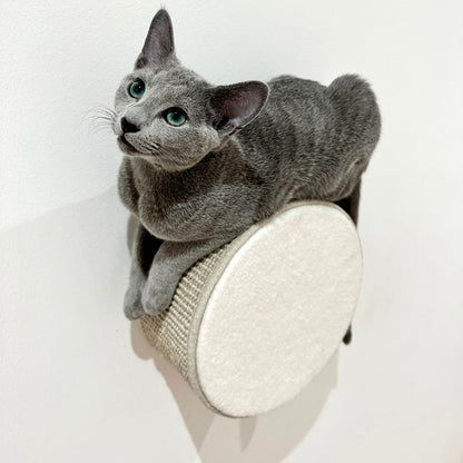 Kissan kiipeilyseinä TabooRound - Ananimalab.com