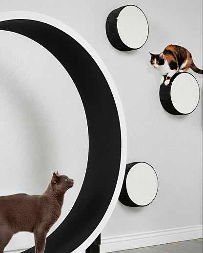 Kissan kiipeilyseinä TabooRound - pyöreä elementti - Ananimalab.com