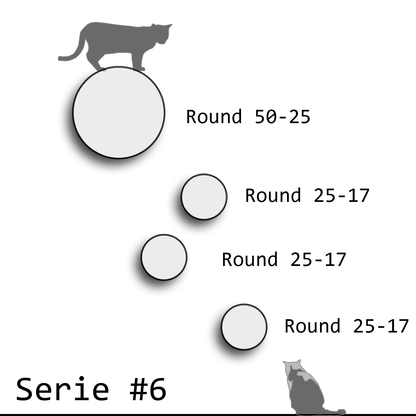 Kissan kiipeilyseinä TabooRound - yhdistelmäsarjat - Ananimalab.com