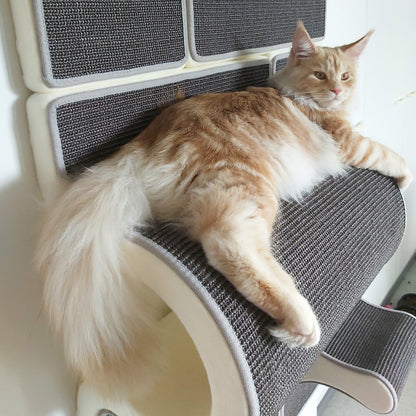 Kissan kiipeilyseinä TiG+24 - Com_Double+ - Ananimalab.com