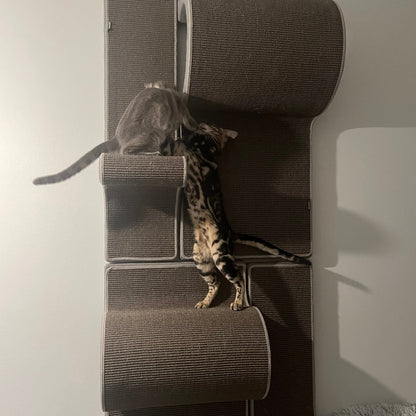 Kissan kiipeilyseinä TiG+24 - Com_Double+ - Ananimalab.com