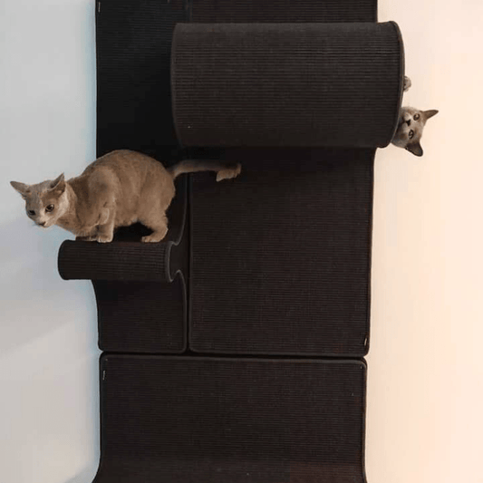 Kissan kiipeilyseinä TiG+56B - Mini_P1 - P4 - SP - Ananimalab.com