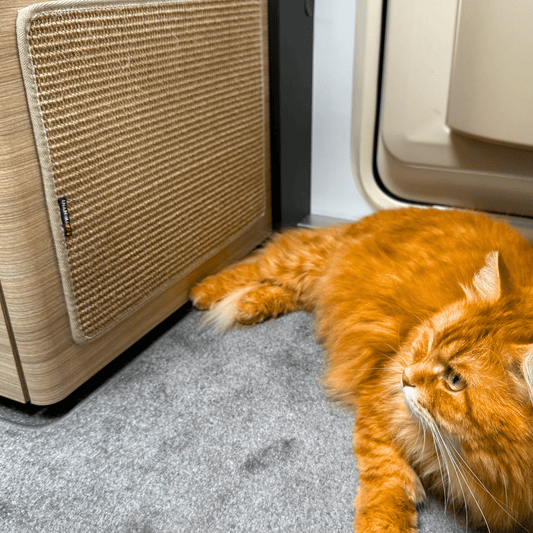 Kissan Lätty - raapimismatot - erikoiskoot - Ananimalab.com