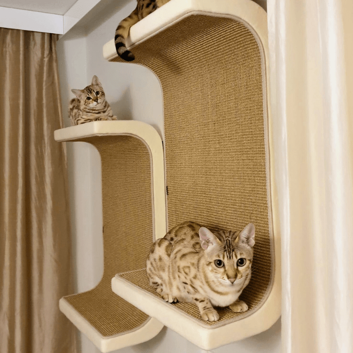 Kissan lepoelementti DS01 - 50 - Ananimalab.com