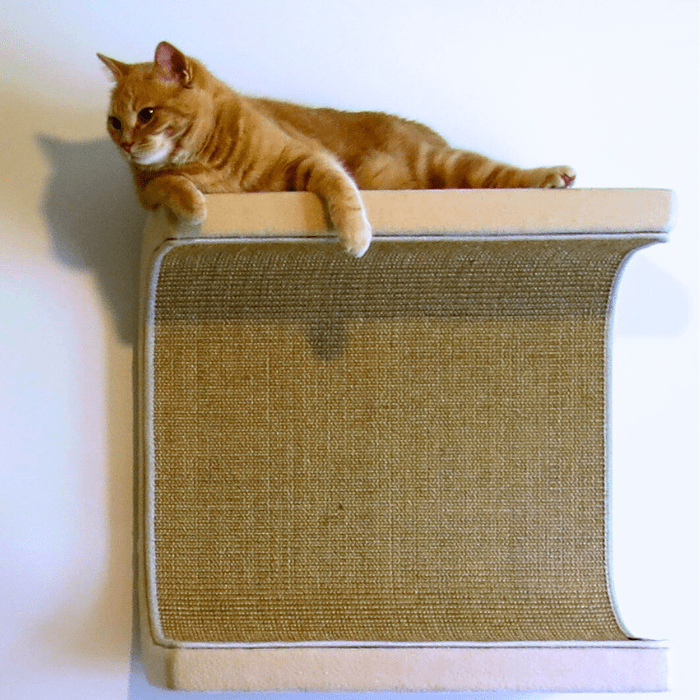 Kissan lepoelementti DS01 - 50 - Ananimalab.com