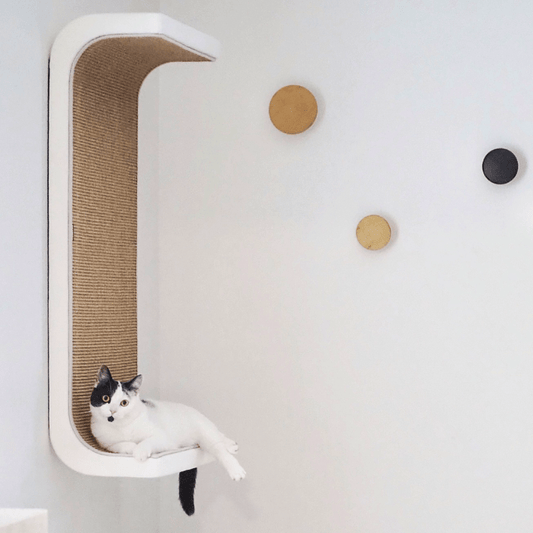 Kissan lepoelementti DS02 - 100 - Ananimalab.com