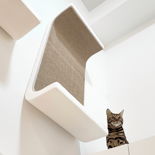 Kissan lepoelementti DS02 - 100 - Ananimalab.com