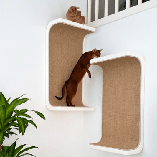 Kissan lepoelementti DS02 - 100 x 2 - Ananimalab.com