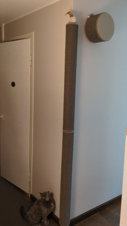 Kissan kiipeilypylväs G-Pole