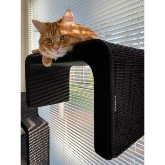 Kissan kiipeilyportaat ZikZakBed - Ananimalab.com