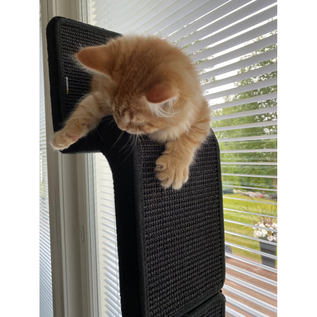 Kissan kiipeilyportaat ZikZakOne - Ananimalab.com