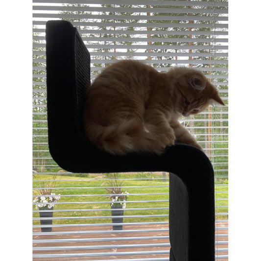 Kissan kiipeilyportaat ZikZakOne - Ananimalab.com