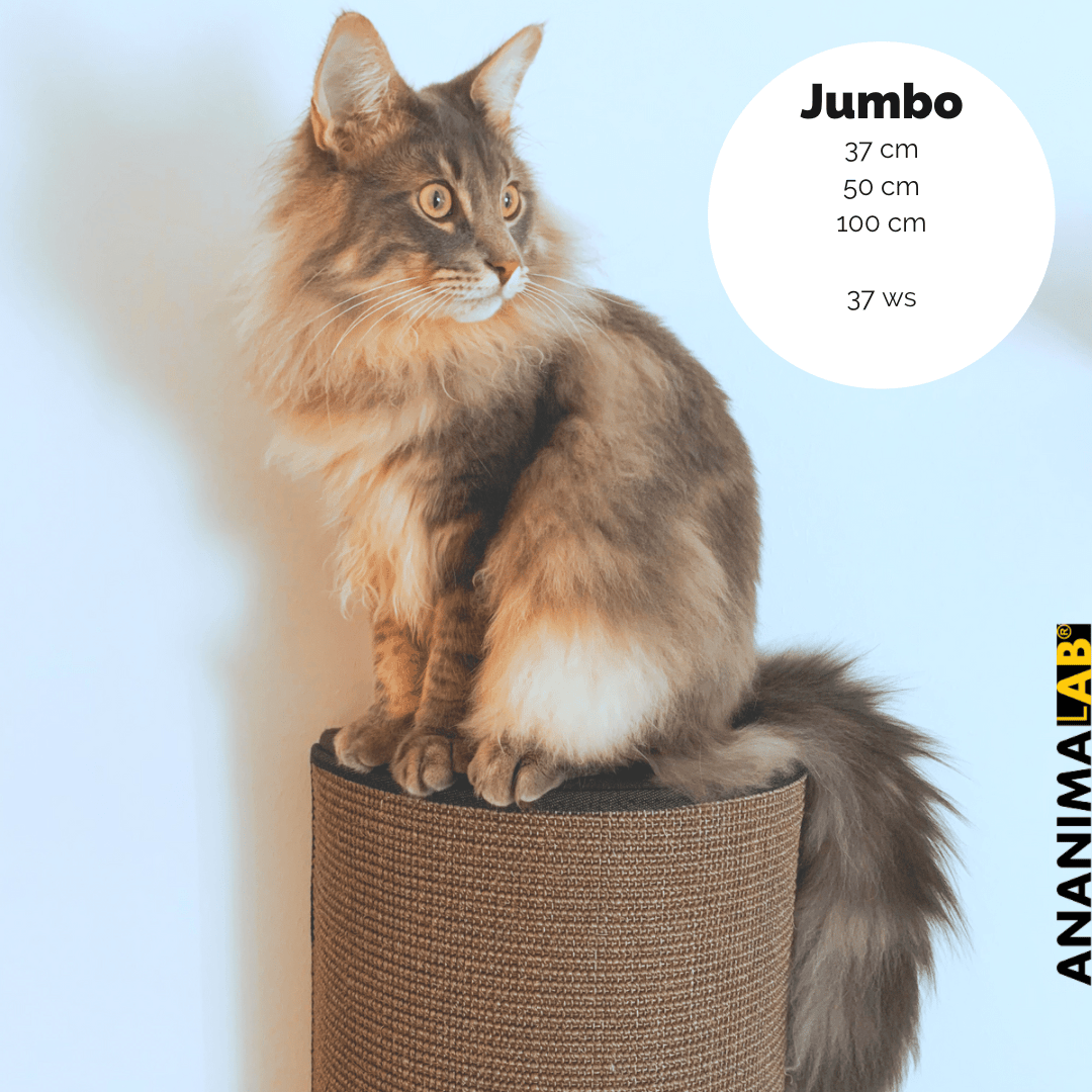 Kissan kiipeilypylväs Jumbo - Ananimalab.com