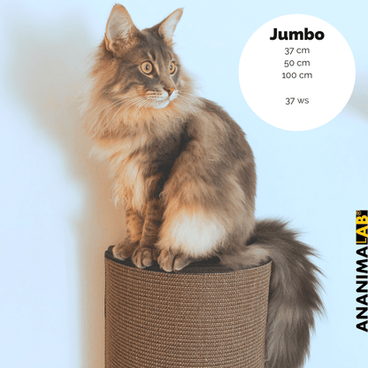 Kissan kiipeilypylväs Jumbo - Ananimalab.com