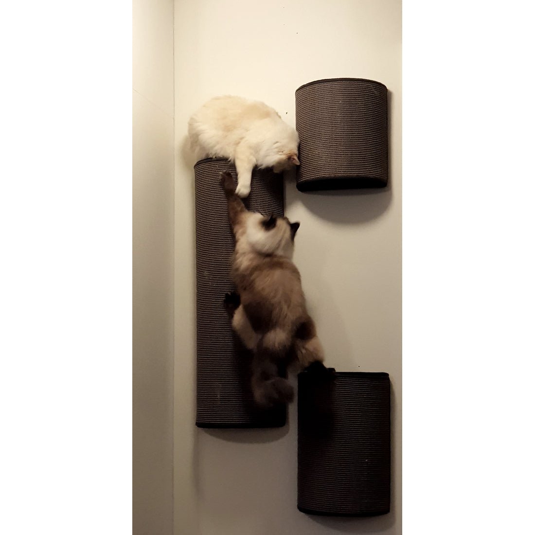 Kissan kiipeilypylväs Jumbo - yhdistelmät - Ananimalab.com