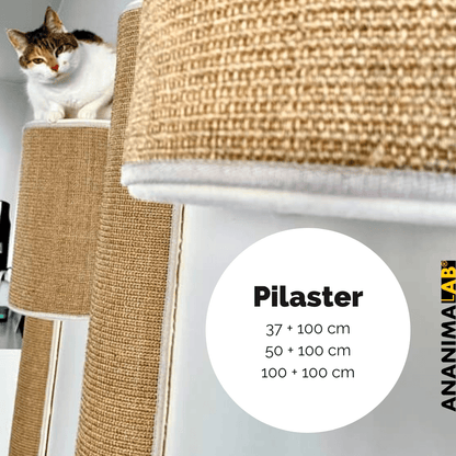 Kissan kiipeilypylväs Pilaster, yhdistelmät - Ananimalab.com