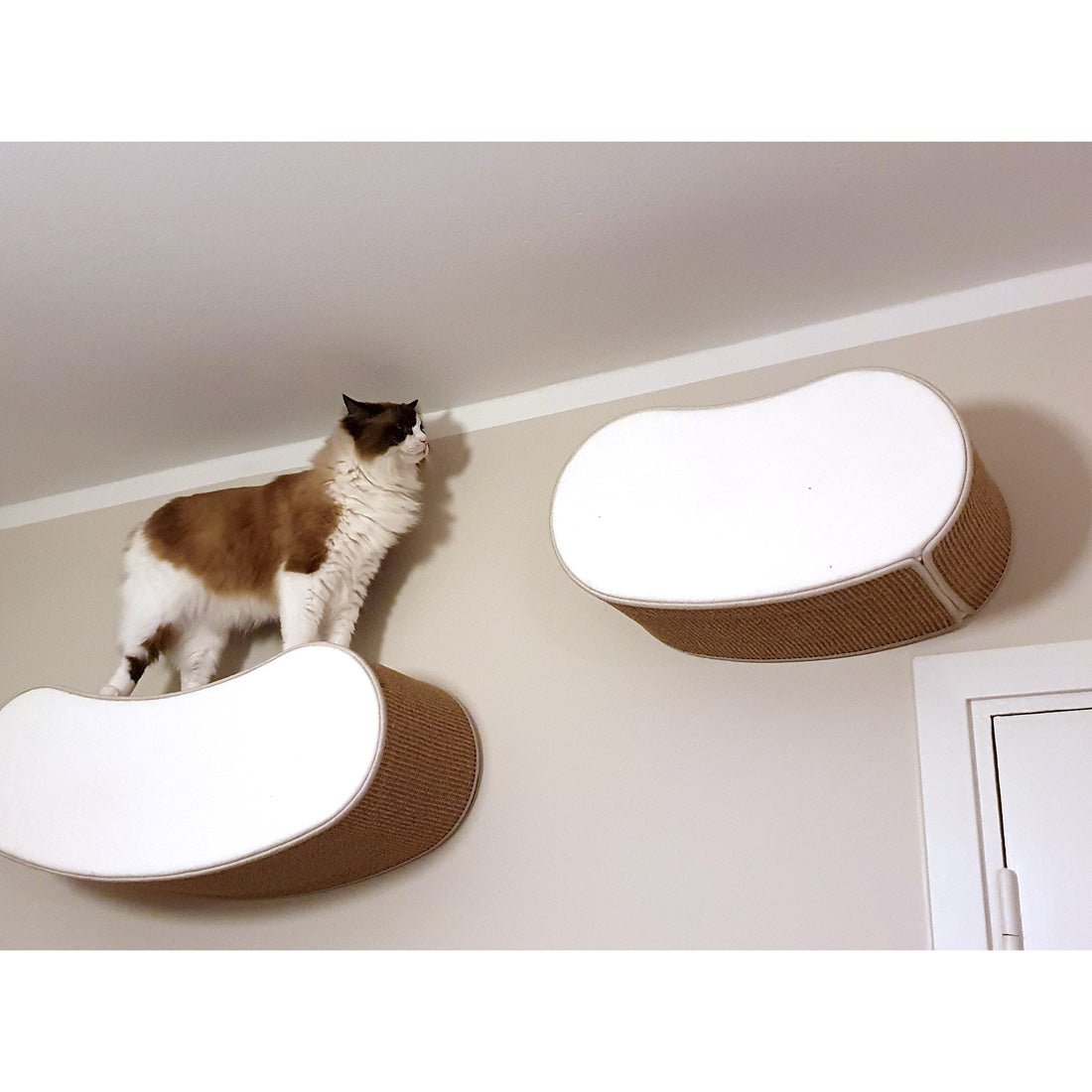 Kissan kiipeilyseinä Mood - Ananimalab.com