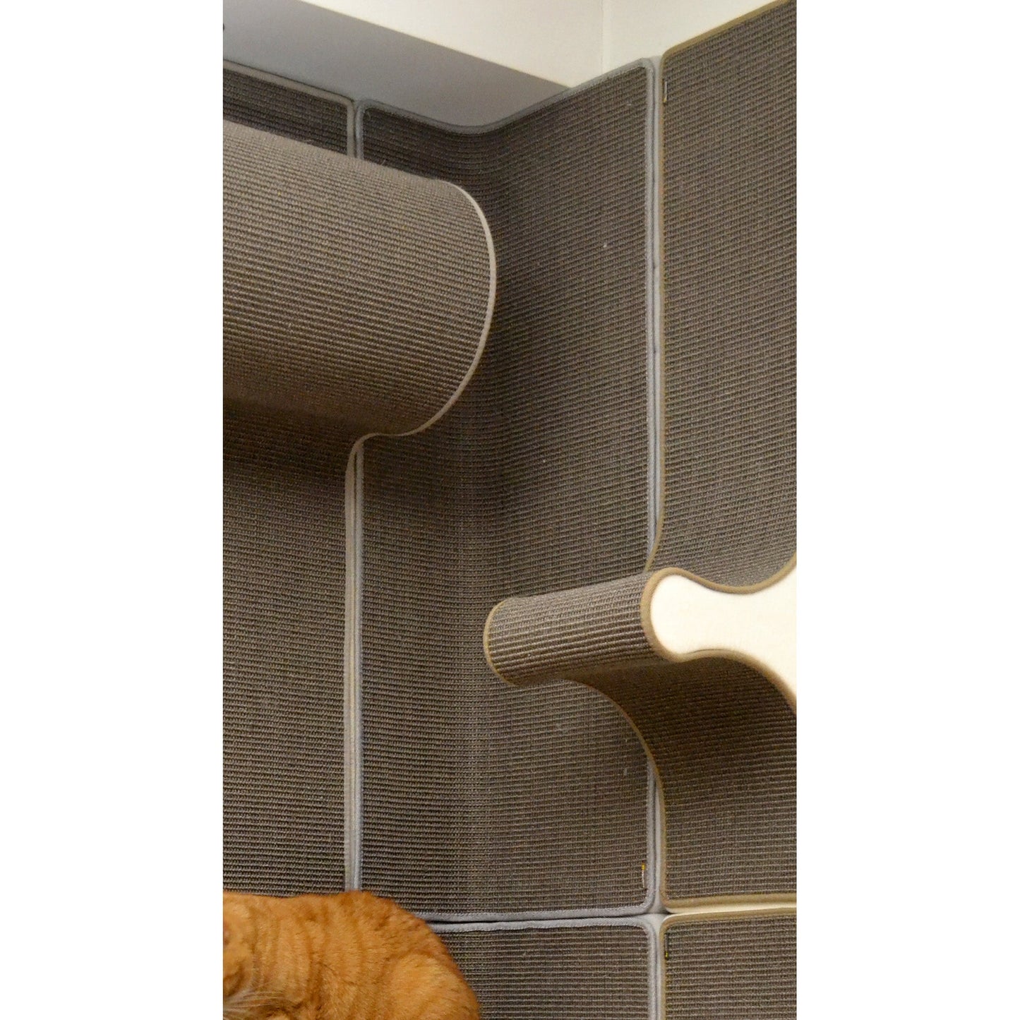 Kissan kiipeilyseinä - sisänurkkaelementti TiG+_CNR100 - Ananimalab.com