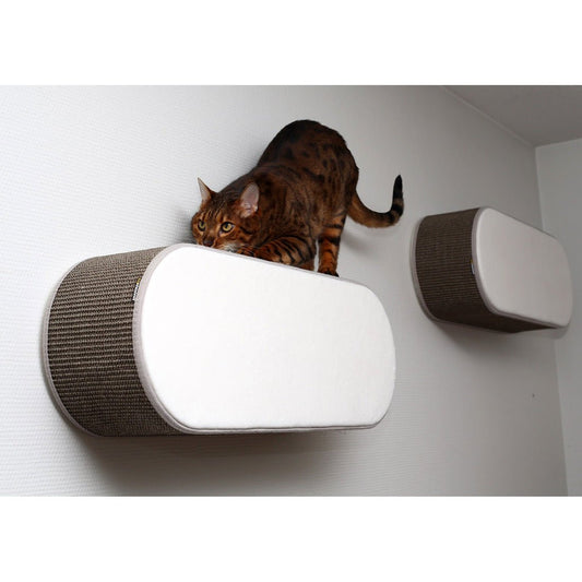 Kissan kiipeilyseinä TabooOval x 2 - Ananimalab.com