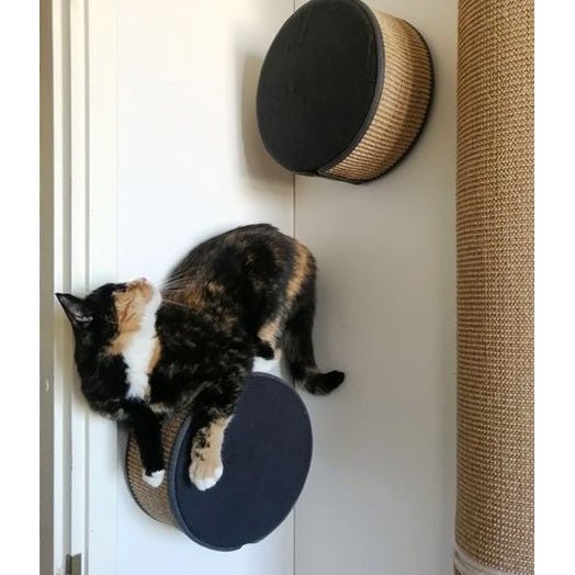 Kissan kiipeilyseinä TabooRound - Ananimalab.com